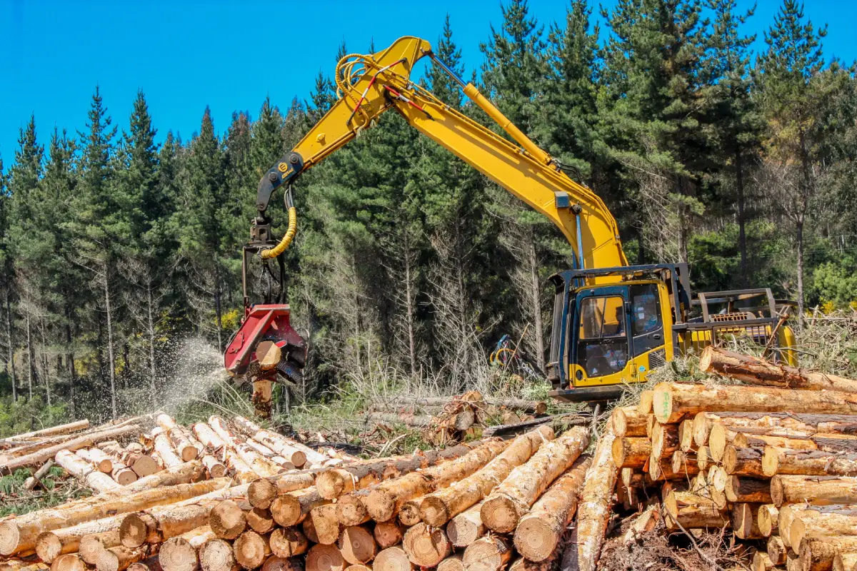 AdobeStock_286198844